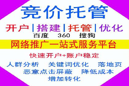 百度竞价SEM策略解析：某品牌广告成功的关键因素